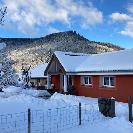 Gite Le Cerf Volant Raon-sur-Plaine Esterno foto