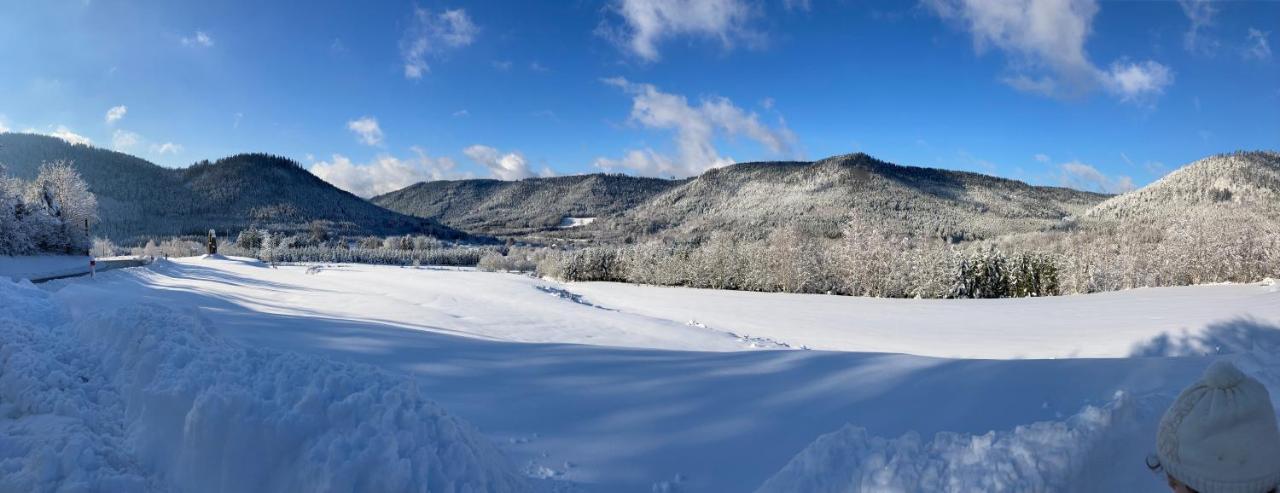 Gite Le Cerf Volant Raon-sur-Plaine Esterno foto